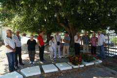 IMG-2f068ba2c3ef27d296da49742446fd38-V