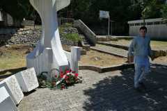 IMG-aac6dd18c57600140e59132a8c9799db-V