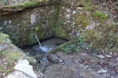 IMG-e0808e037f1decccc216f78abba9de12-V