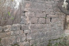 Vracevi-Koina