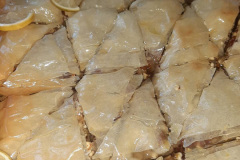 Elvir-Duskic-Libija-6