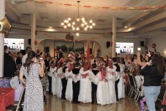 IMG-08c2adec7695dacb931dae6e92ccce52-V