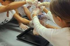 FB_IMG_1727512647455