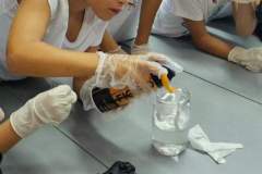 FB_IMG_1727512650143