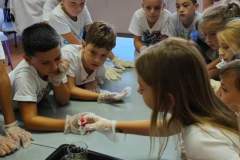 FB_IMG_1727512653349