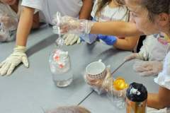 FB_IMG_1727512656489