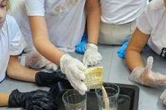 FB_IMG_1727512659097