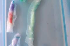 FB_IMG_1727512667097