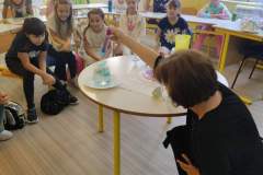 FB_IMG_1727512722714