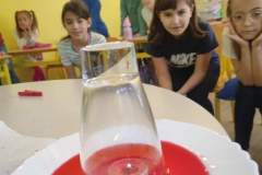 FB_IMG_1727512728475