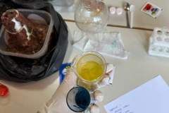 FB_IMG_1727512755897