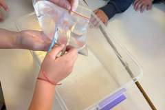 FB_IMG_1727512785367