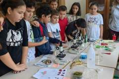 FB_IMG_1727512797729