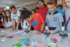 FB_IMG_1727512812544