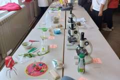 FB_IMG_1727512837366