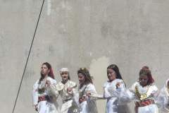 IMG-e49595e6d226d90610fd93676997fb42-V