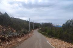 IMG-c02ebda8b0ea07c134868d456b40d1fa-V