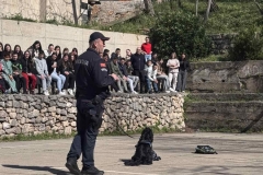 IMG-01317e6689081e9dabe3739205599e94-V-1