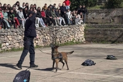 IMG-7dacdce8eadab2f528facfffe354ff4f-V-1