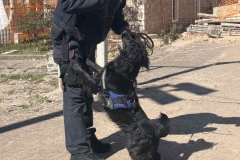 IMG-999d3e669b70afff5952174cd6860acf-V-1