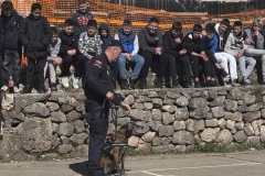 IMG-f8302337450d05609ecbf662037553de-V