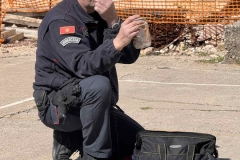 IMG-fdd3e49c2cd9b6956156a7e6a6e04fcf-V