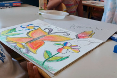 IMG-87dd8ebb6cc3e97f14e5e67600dd3052-V