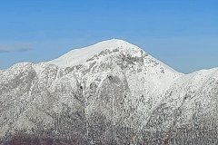 1-31