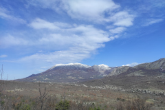 IMG_20210323_092252