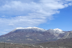 IMG_20210323_092258