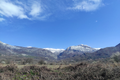 IMG_20210323_092857