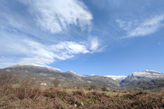IMG_20210323_092905