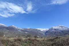 IMG_20210323_092913