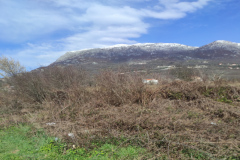 IMG_20210323_093201