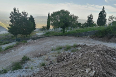 207115541_4377583198939758_7878881929792649968_n