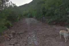 IMG-5b80ffc618db19104de8303a0c86fb3a-V