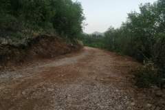 IMG-8265c43b0a5361b4009e07b503b175a1-V