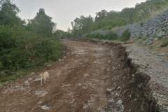 IMG-866da10cc1f6efa971e098528e524867-V