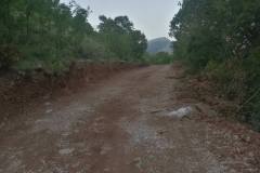 IMG-87781f69a4b8da90383321f783e6a765-V