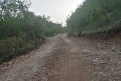 IMG-9000d1fe22631aa4a6cc8dcab6550b3a-V