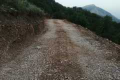 IMG-a8b4ff3cef6b338d16af7f9f2dc0250a-V