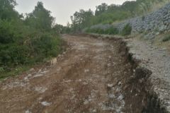 IMG-f06561e053769f8062259088af518980-V