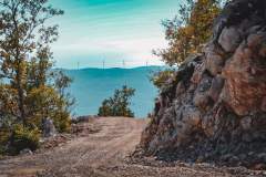 FB_IMG_1667838915647