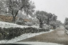 IMG_20210213_111950_610