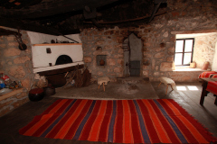 slika-7-glavni-tekst