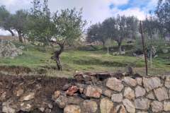 IMG-24f9acb79083ce5d2e1f457b00fc534d-V