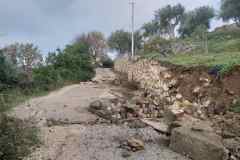 IMG-e51ac55e9a6584f8b771573e020b0dba-V