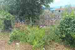 IMG-66848a16831ae9db8b0a16ae95180584-V