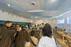 FB_IMG_1694877038562