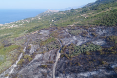 DCIM\100MEDIA\DJI_0927.JPG